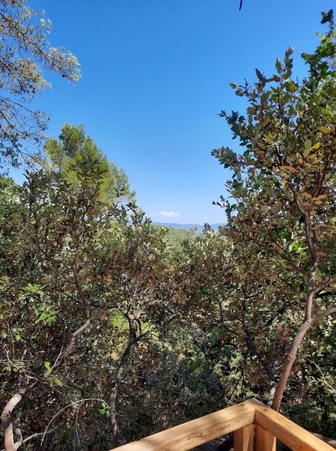 Cabane Dans Les Arbres "La Kaz Aux Cigales" Cuers Exterior foto