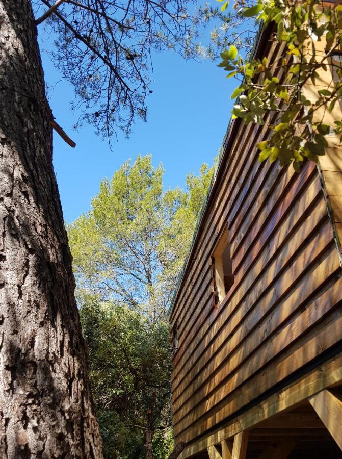 Cabane Dans Les Arbres "La Kaz Aux Cigales" Cuers Exterior foto